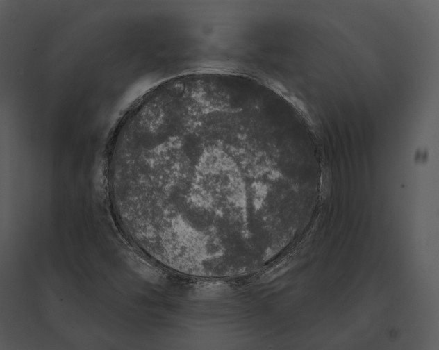 X0000095511454200801041149
