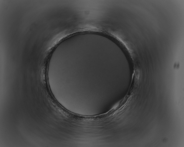 X0000095511455200801041149