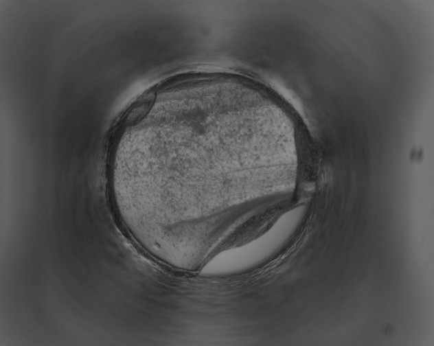 X0000095511456200801041149
