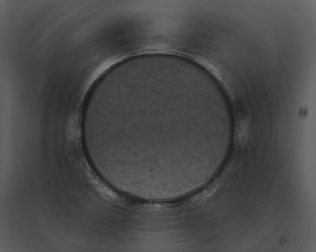 X0000095511458200801041149