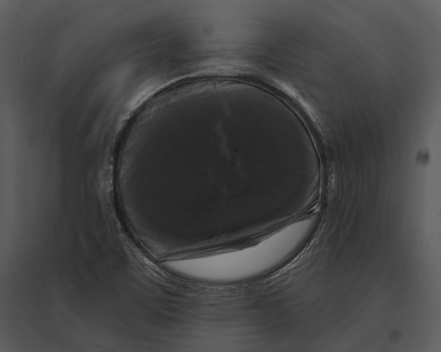 X0000095511459200801041149