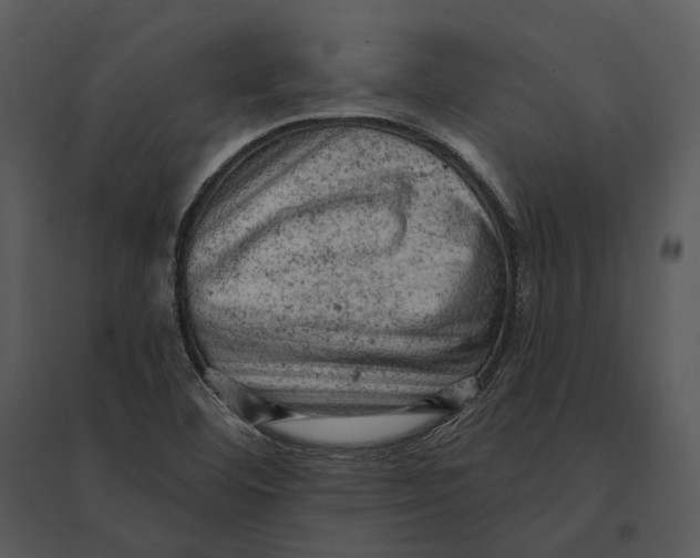 X0000095511460200801041149