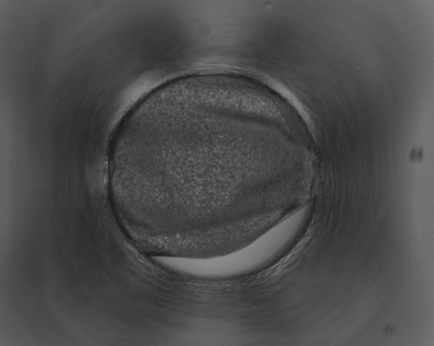 X0000095511461200801041149