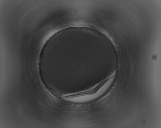 X0000095511463200801041149
