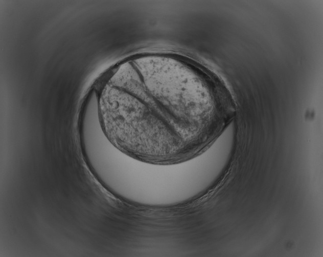 X0000095511464200801041149