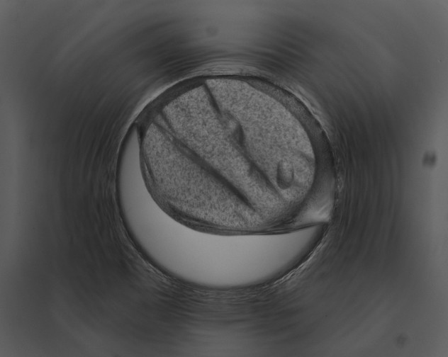 X0000095511465200801041149