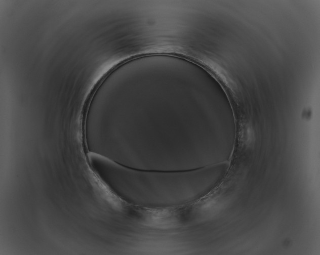 X0000095511468200801041149