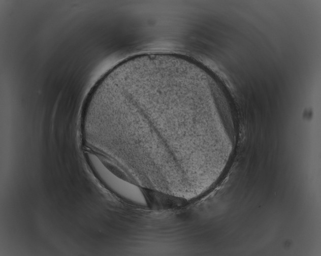 X0000095511469200801041149