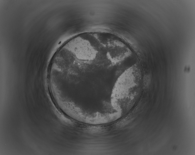 X0000095511470200801041149