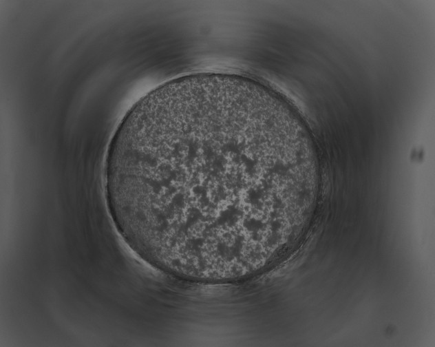 X0000095511471200801041149