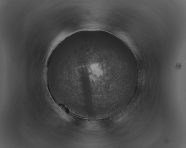 X0000095511472200801041149