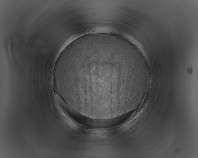 X0000095511473200801041149