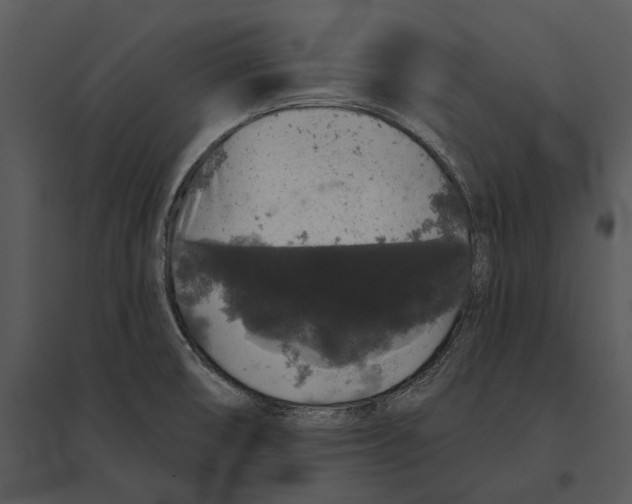 X0000095511474200801041149