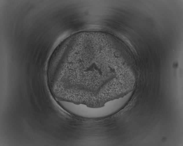 X0000095511475200801041149