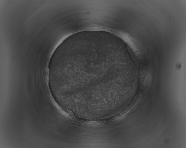 X0000095511476200801041149