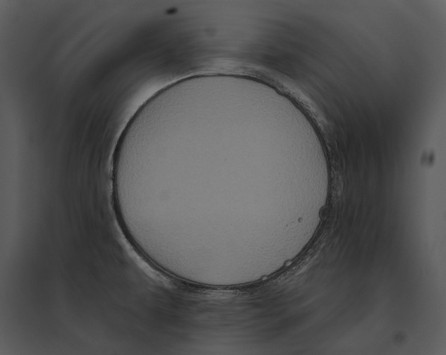 X0000095511479200801041148