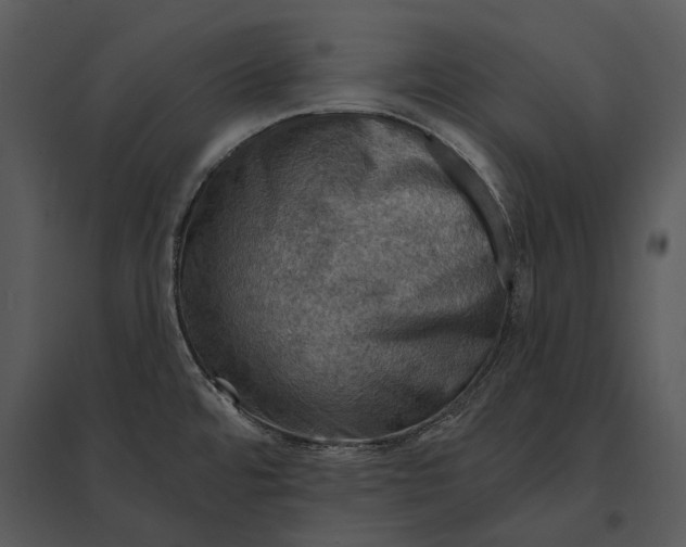 X0000095511480200801041148