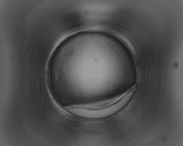 X0000095511483200801041148