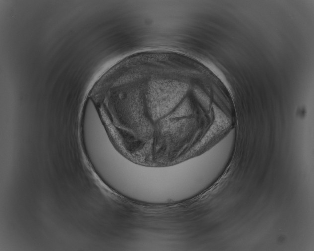 X0000095511485200801041148