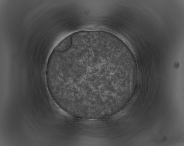 X0000095511486200801041148