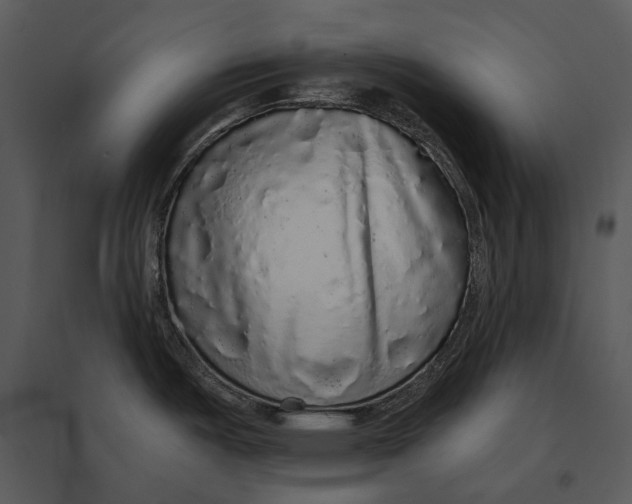 X0000095511487200801041148