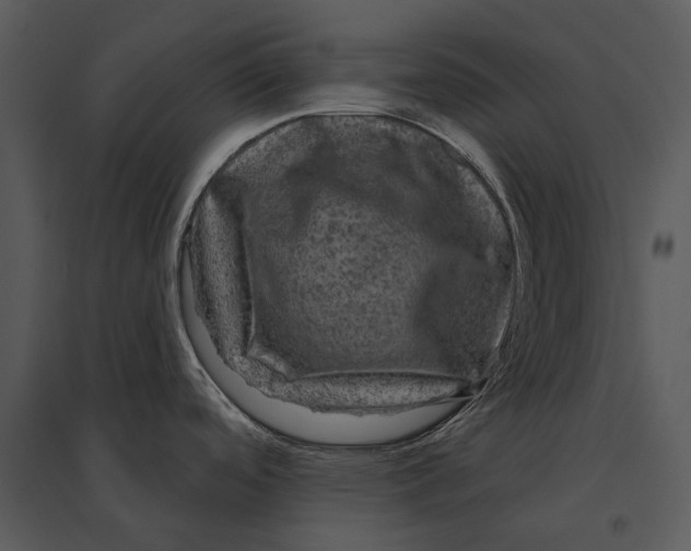 X0000095511488200801041148