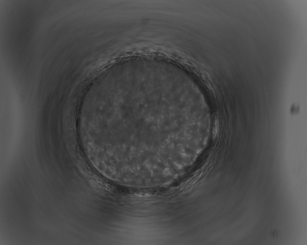 X0000095511489200801041148