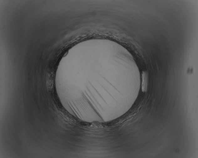 X0000095511491200801041148