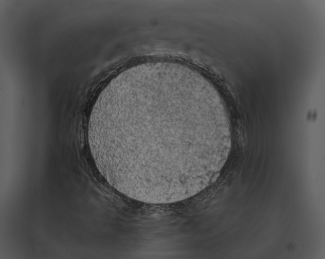 X0000095511493200801041148