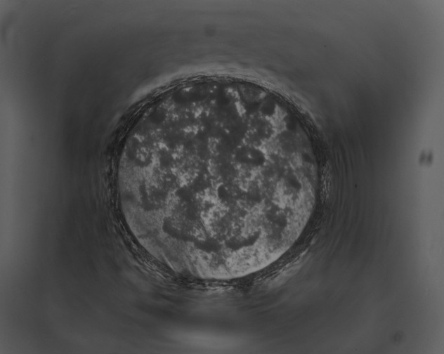 X0000095511494200801041148