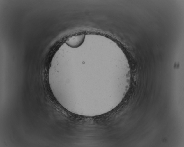 X0000095511495200801041148