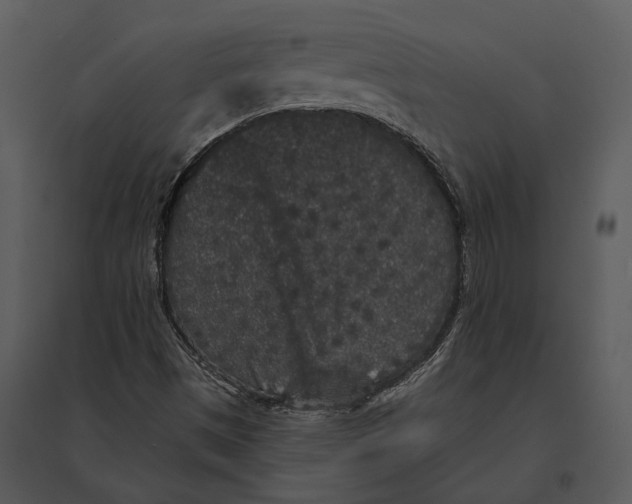 X0000095511497200801041148