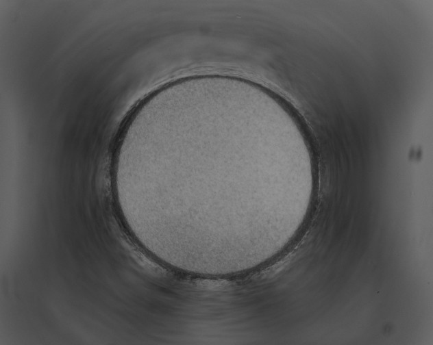 X0000095511498200801041148