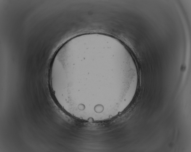 X0000095511500200801041148
