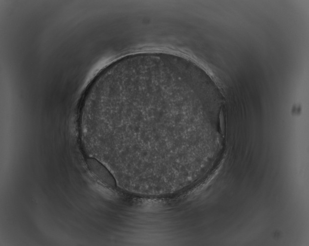 X0000095511501200801041148