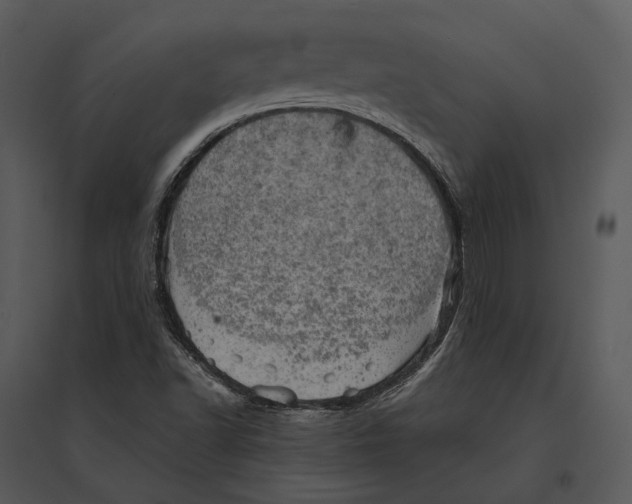 X0000095511502200801041148