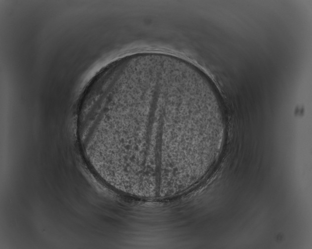 X0000095511503200801041148