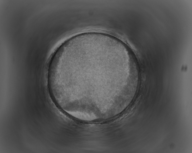 X0000095511504200801041148