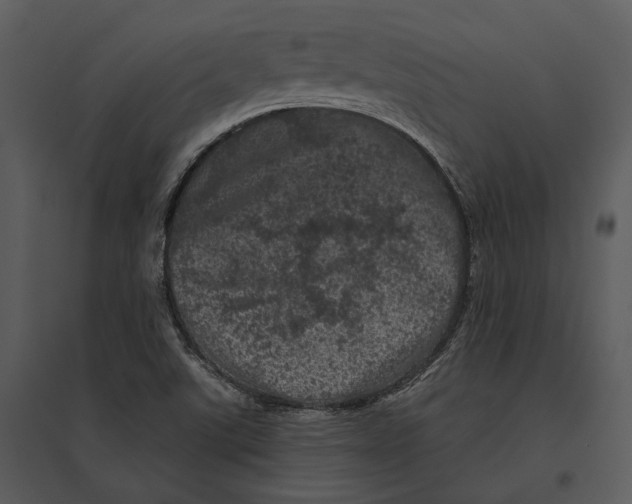 X0000095511507200801041148