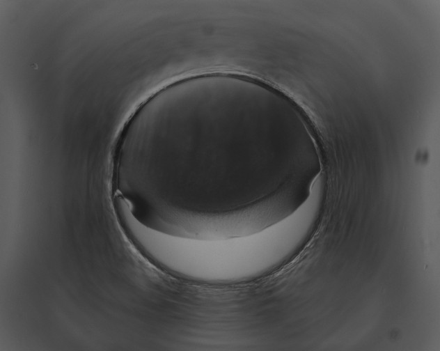 X0000095511508200801041148