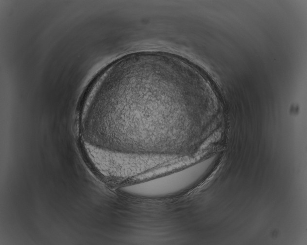 X0000095511509200801041148