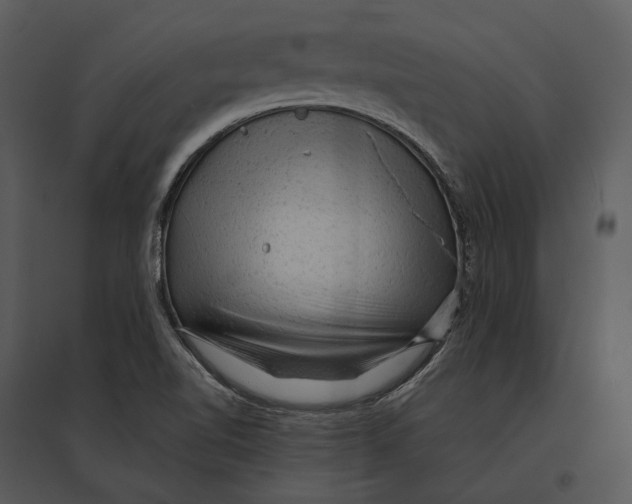 X0000095511510200801041148