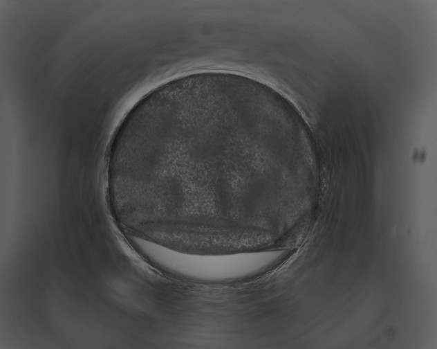 X0000095511511200801041148