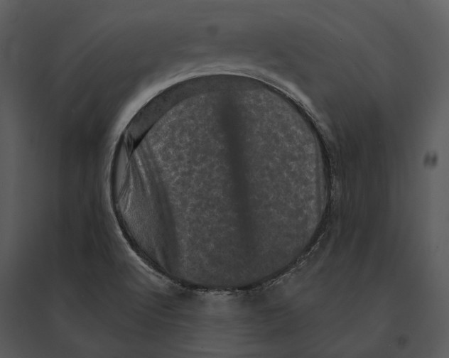 X0000095511512200801041148