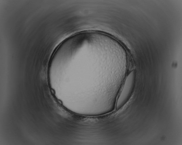 X0000095511513200801041148