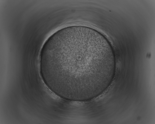 X0000095511514200801041148