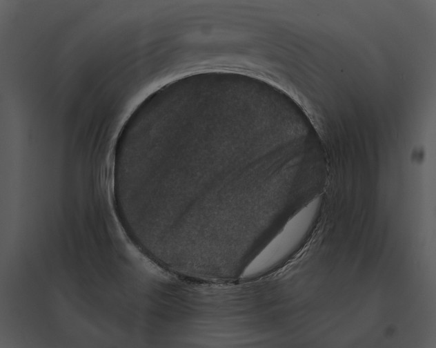 X0000095511515200801041148