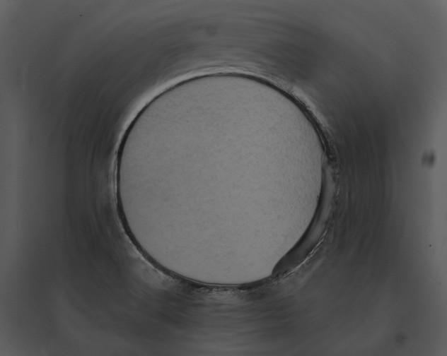 X0000095511516200801041148