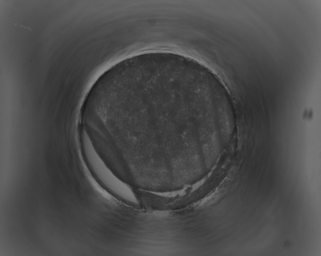 X0000095511519200801041148