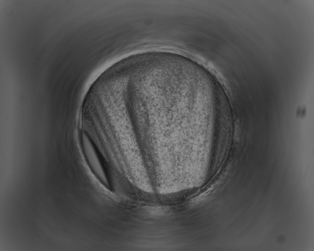 X0000095511520200801041148